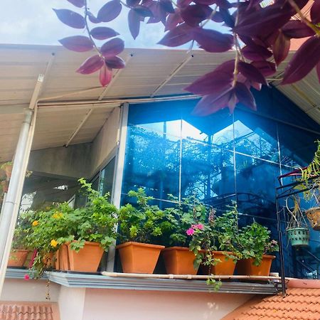 Homestay - Heaven Aumgarden Thiruvananthapuram Esterno foto